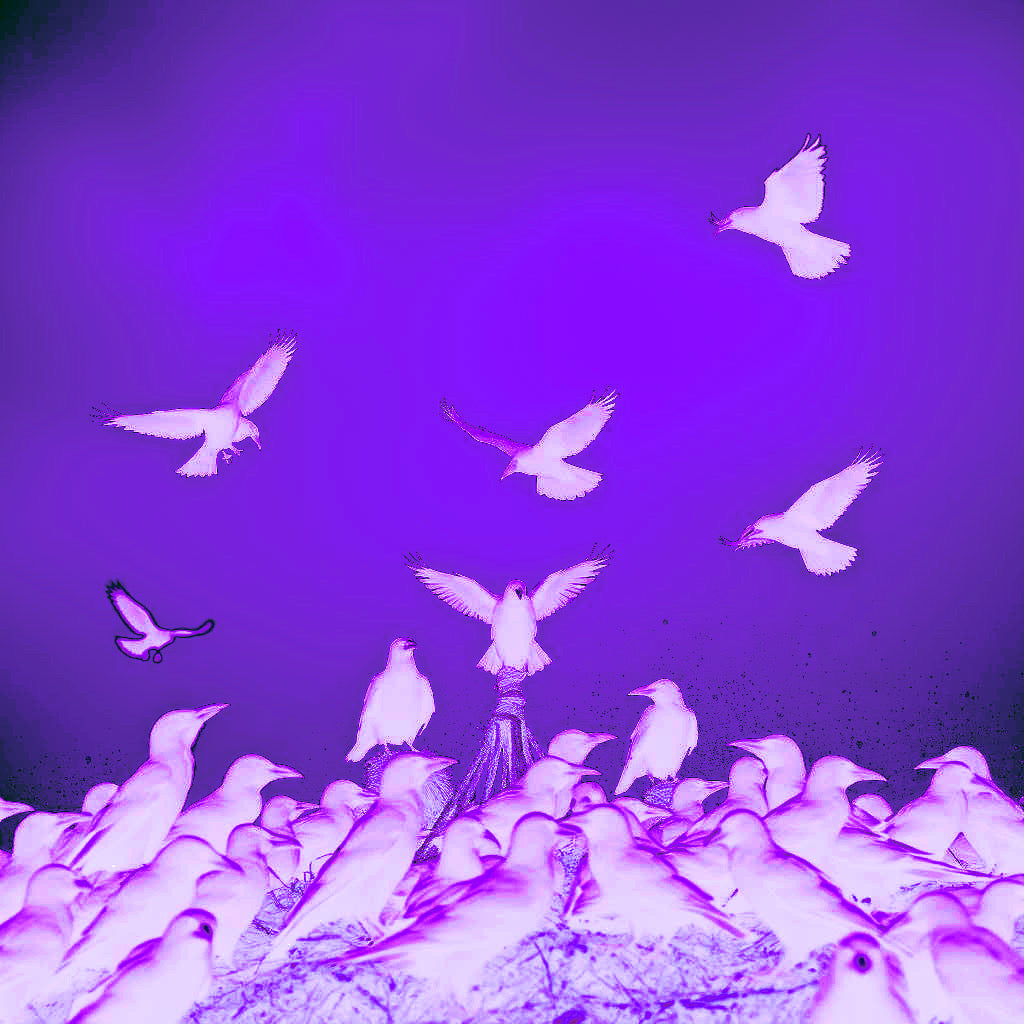 HEAL
